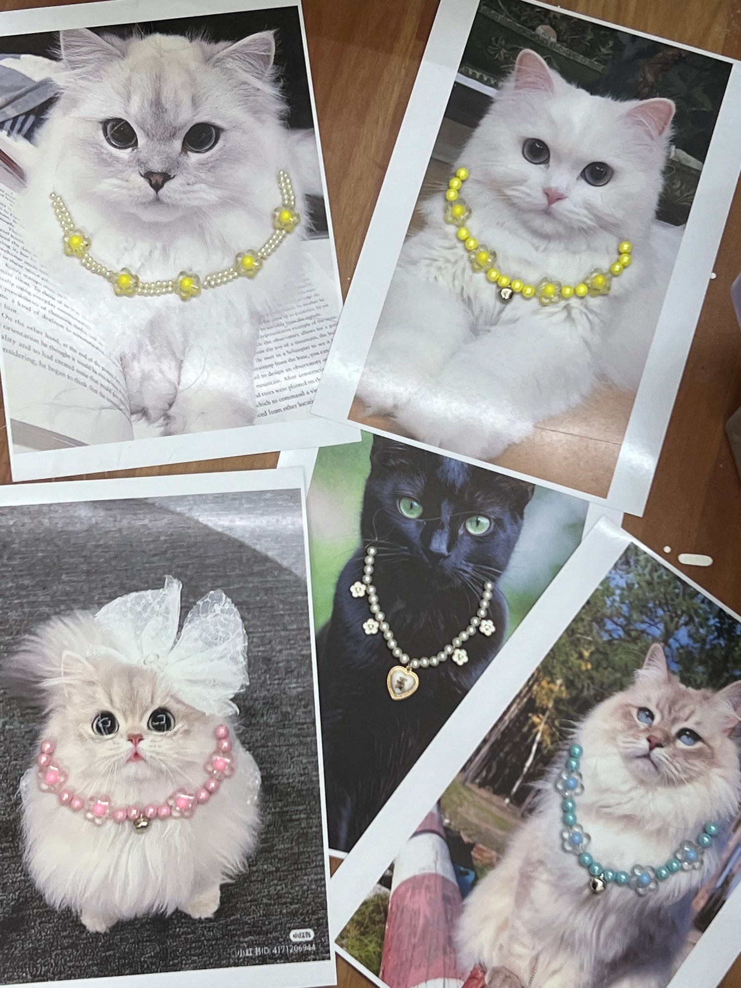 Pet Items