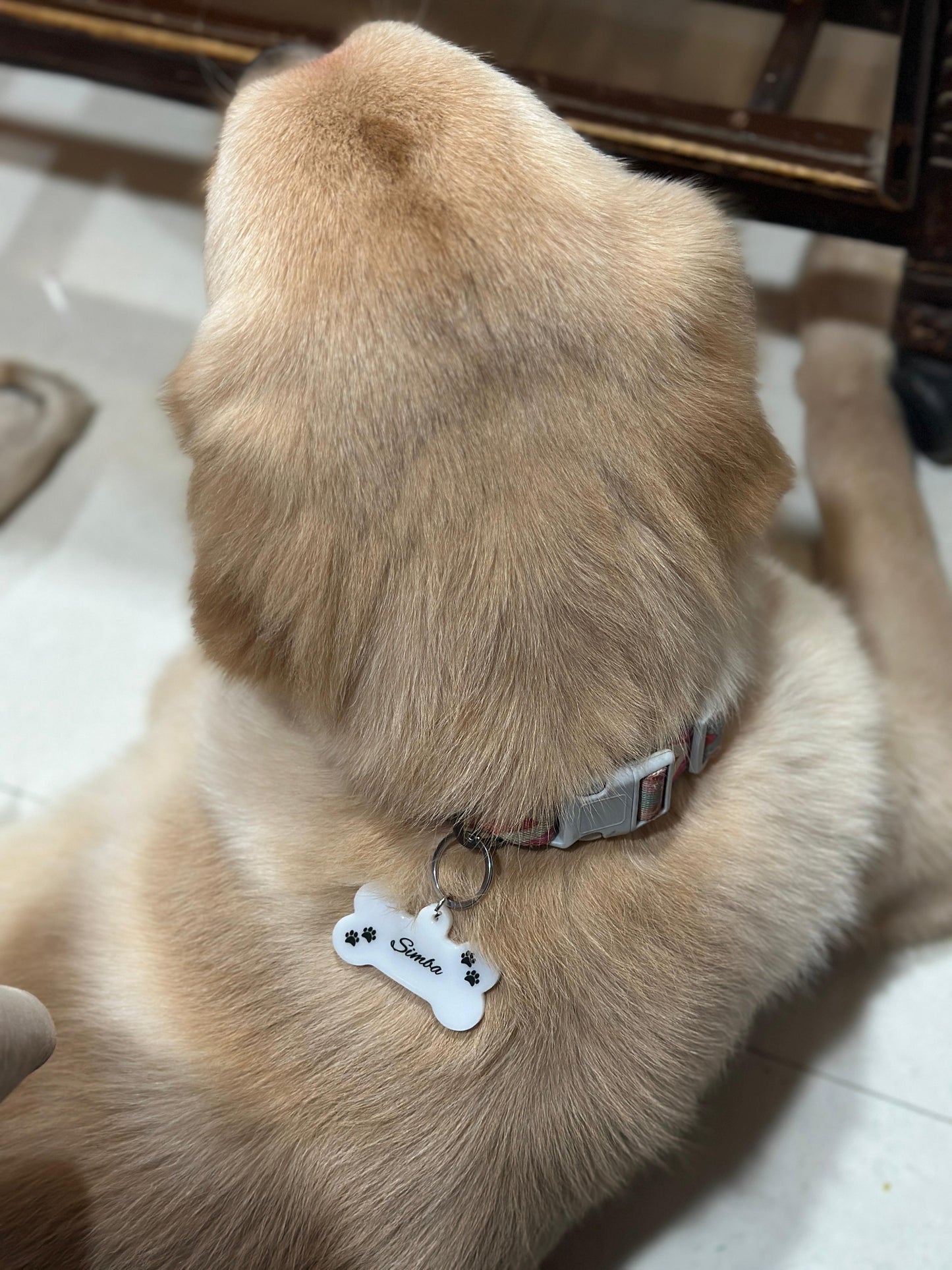 Pawrfect-Custom White Resin Dog Tag with Name and Paw Prints