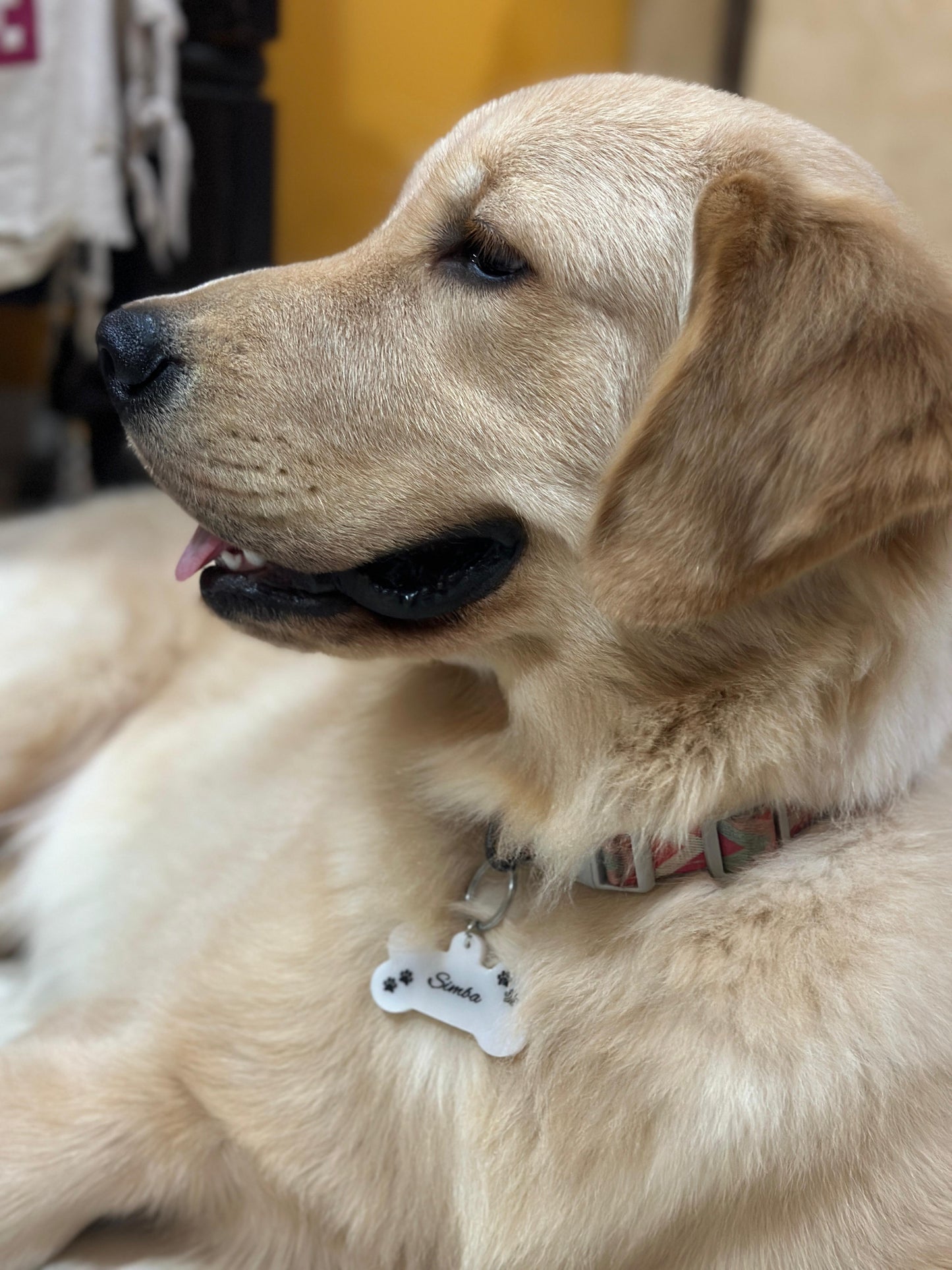 Pawrfect-Custom White Resin Dog Tag with Name and Paw Prints